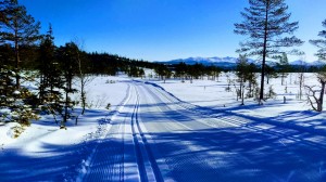 Islandskjølen Islandskjølen