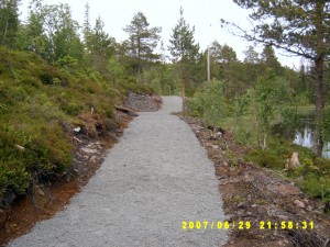 sv400261
